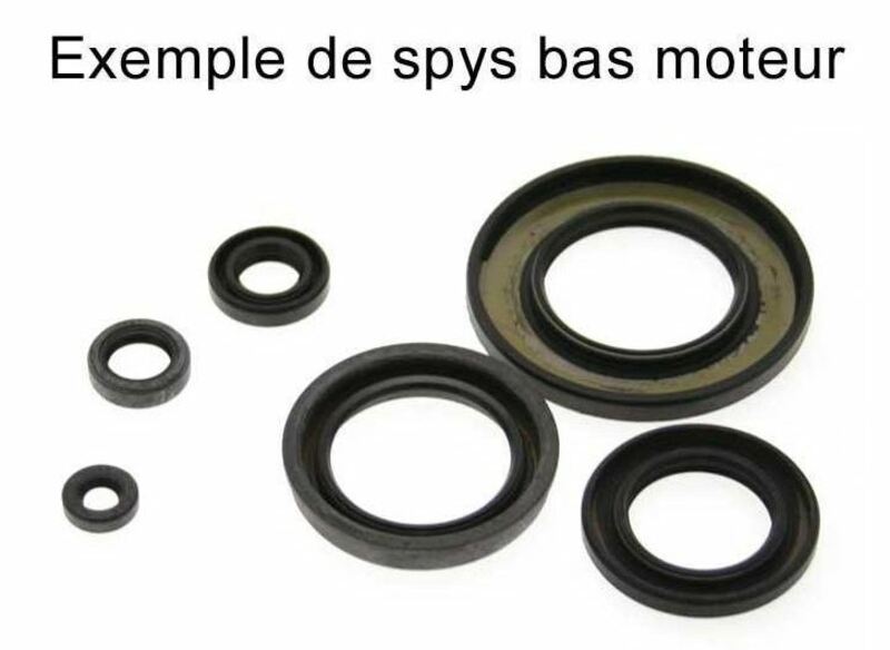 Jeu de joints spi CENTAURO 