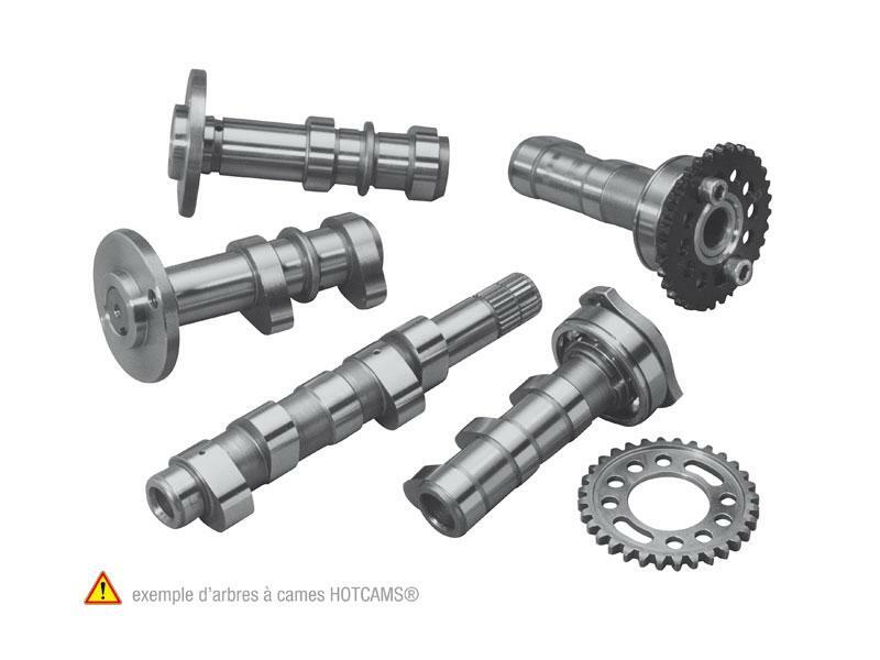 Arbre à cames HOT CAMS - Niveau 2 Yamaha YFM700R 
