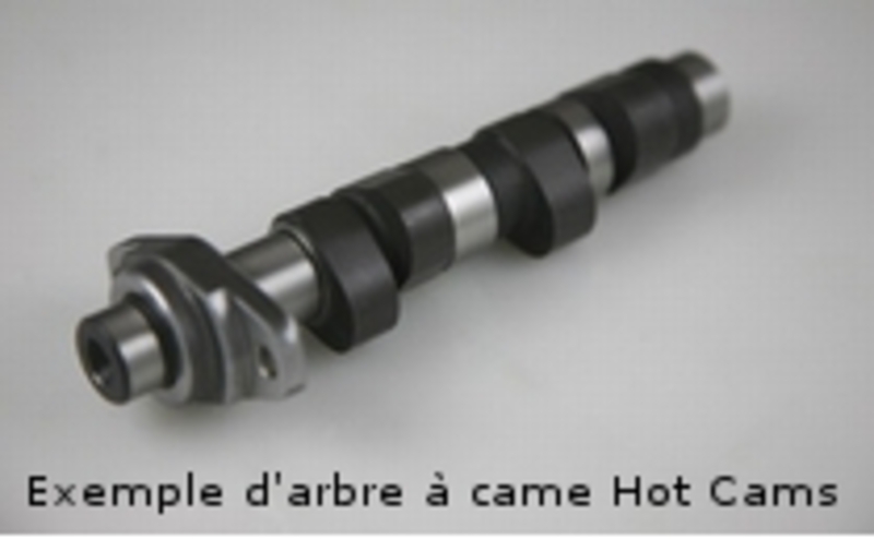 Arbre à cames HOT CAMS - Niveau 1 Polaris 