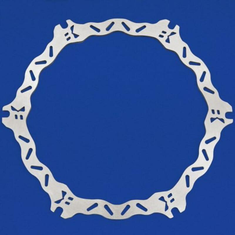 Disque de frein BRAKING pétale fixe