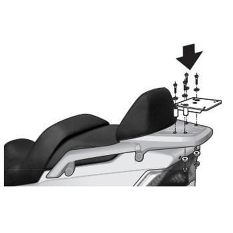 Fixation SHAD Top Master Daelim