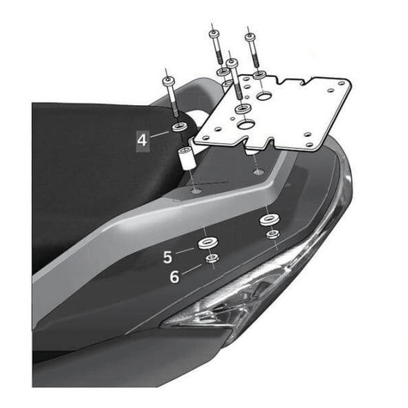 Fixation SHAD Top Master Daelim