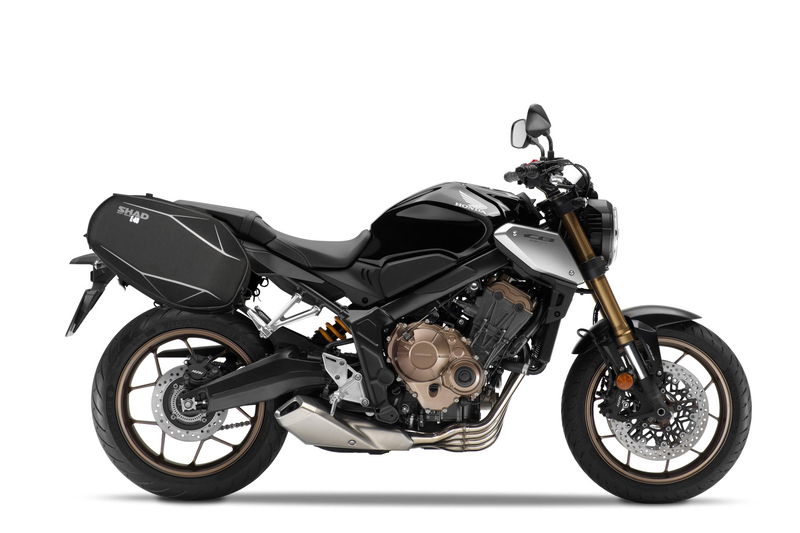 Fixation SHAD Pin System