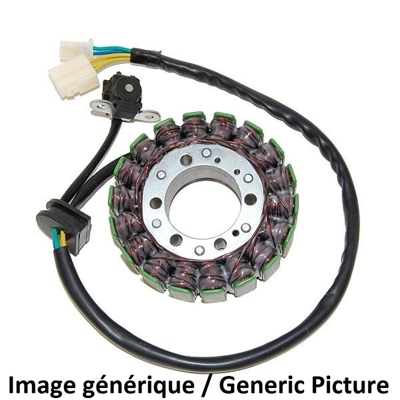 Stator ELECTROSPORT - BMW S1000R 