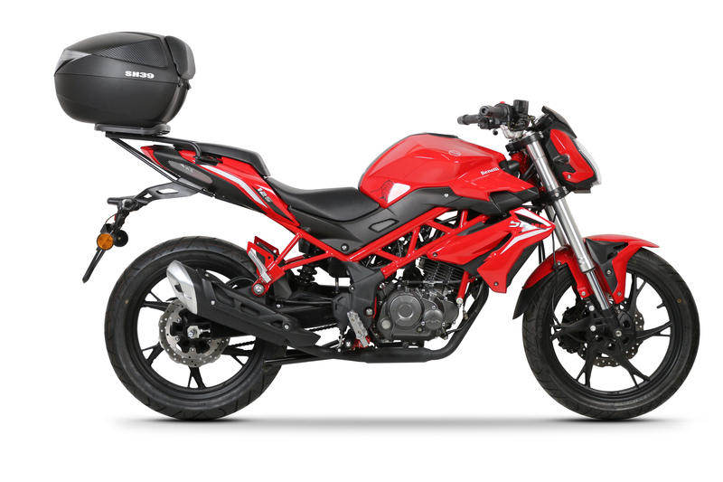 Fixation SHAD Top Master