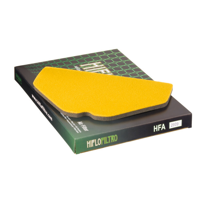 Filtre à air HIFLOFILTRO - HFA2909 
