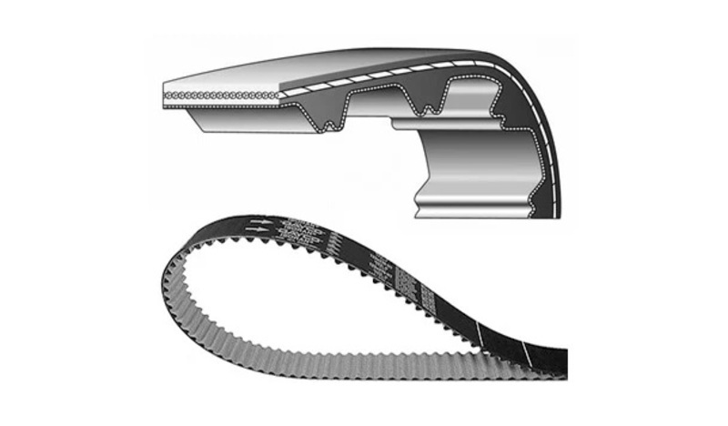 Courroie de distribution DAYCO 